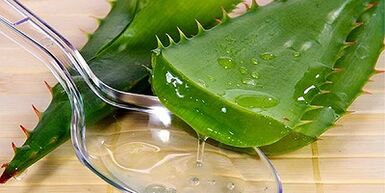 jus d'aloès pour le traitement des varices sur les jambes
